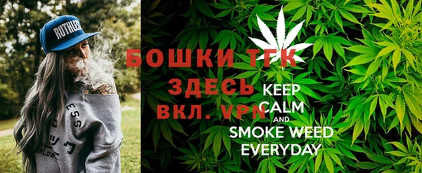 сатива Армянск