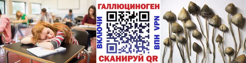 даркнет сайт  Нязепетровск  Псилоцибиновые грибы Psilocybine cubensis 